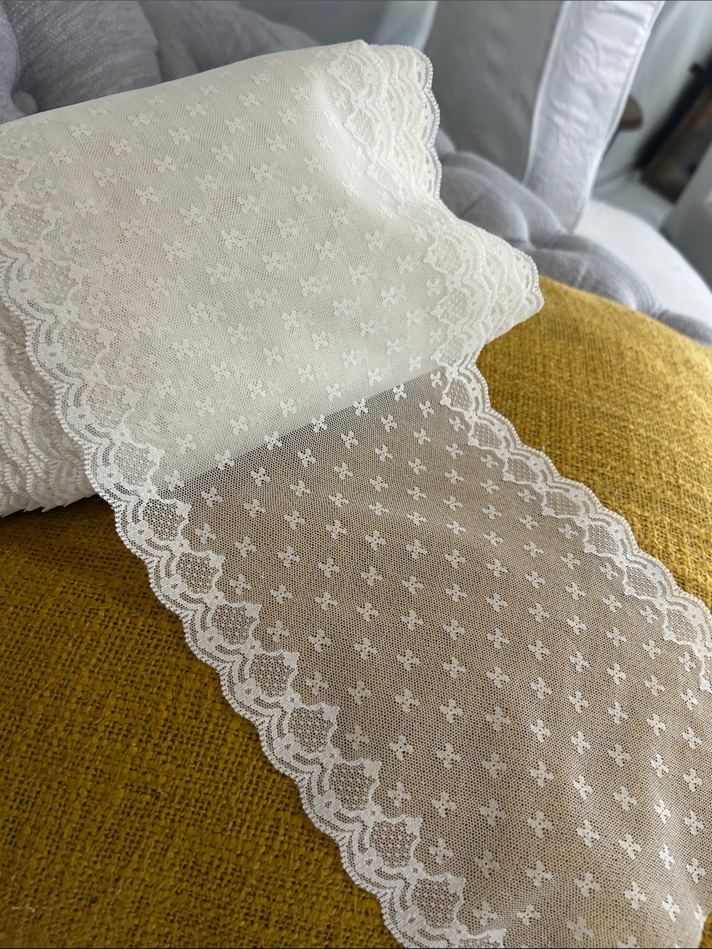 Delicate Ivory Lace Trim